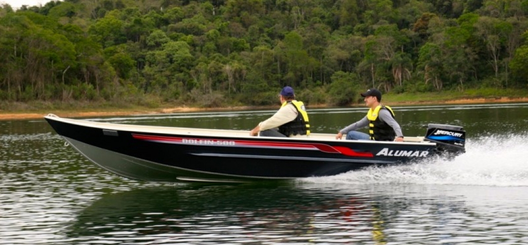 Delphinus 500