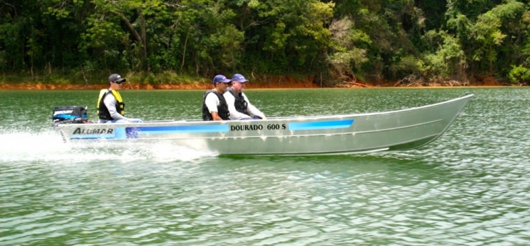 Dourado 600