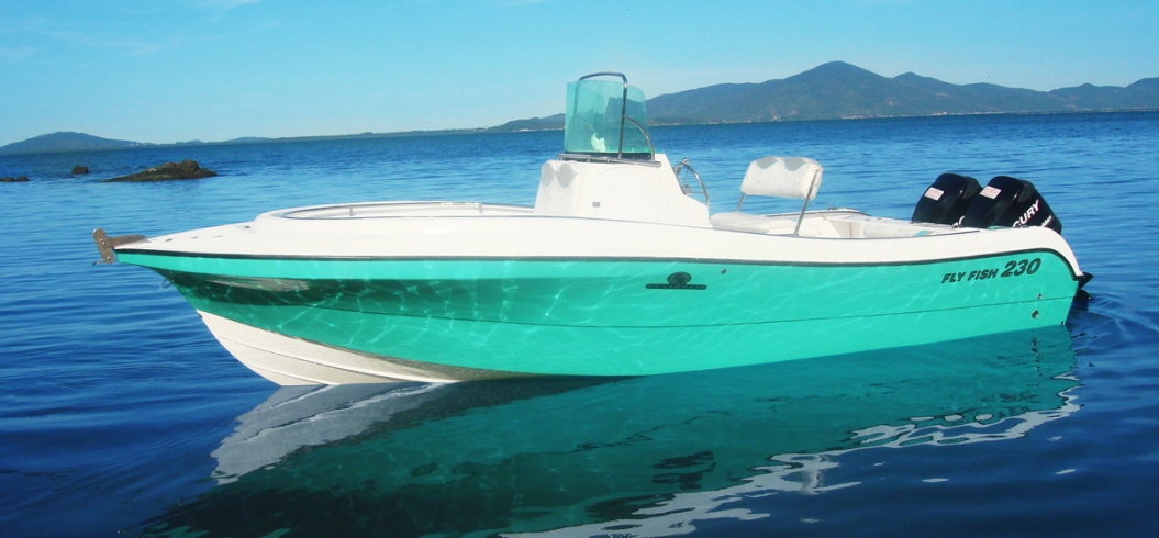 Fly Fish 230