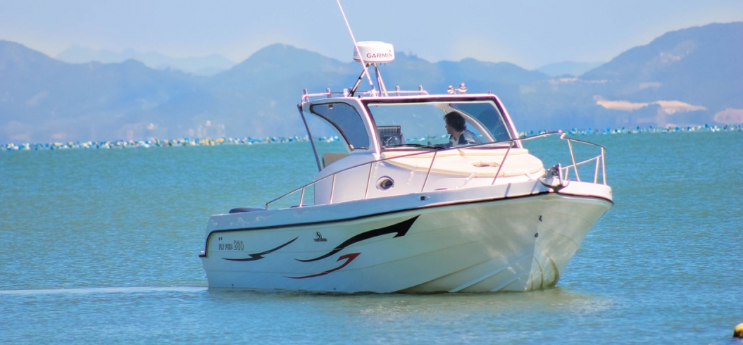 Fly Fish 280